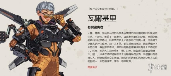 录3项